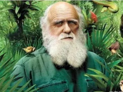 网络配图 网络配图