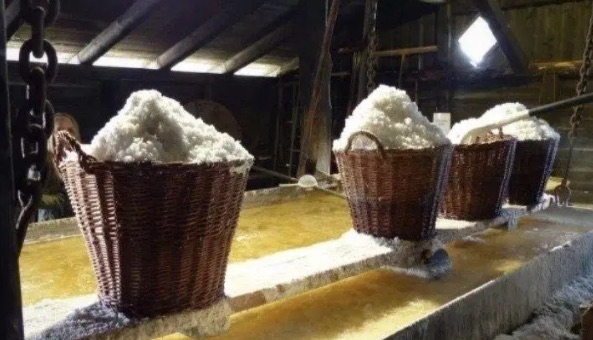 网络配图 网络配图