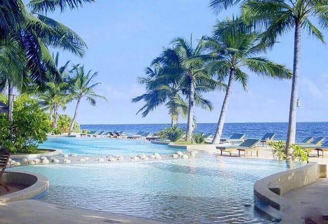 网络图片(侵删) 网络图片(侵删)