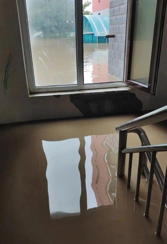 网络图片(侵删) 网络图片(侵删)