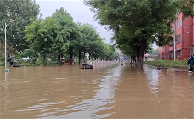 网络图片(侵删) 网络图片(侵删)