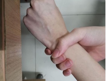 网络图片(侵删) 网络图片(侵删)