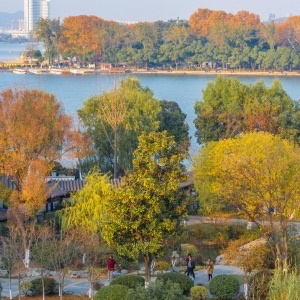 网络图片(侵删) 网络图片(侵删)