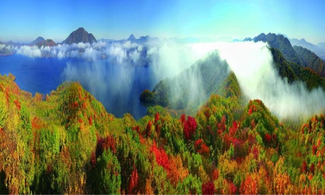 网络图片(侵删) 网络图片(侵删)