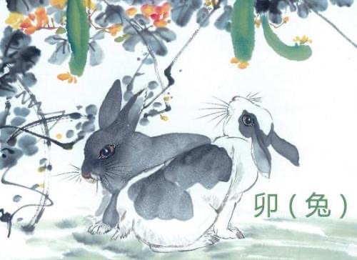 网络图片(侵删) 网络图片(侵删)