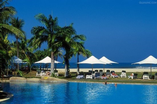 网络图片(侵删) 网络图片(侵删)