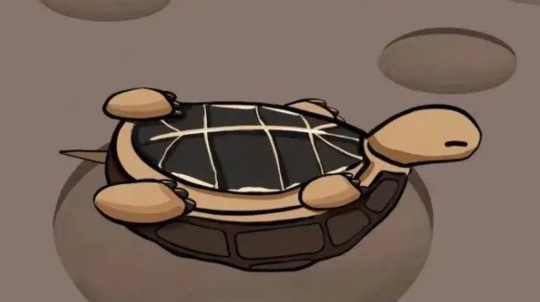 网络图片(侵删) 网络图片(侵删)