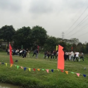 网络图片(侵删) 网络图片(侵删)