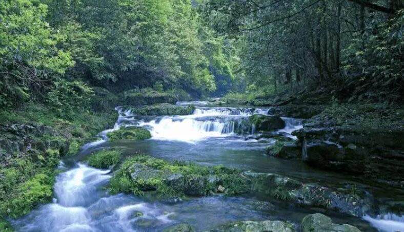 网络图片(侵删) 网络图片(侵删)