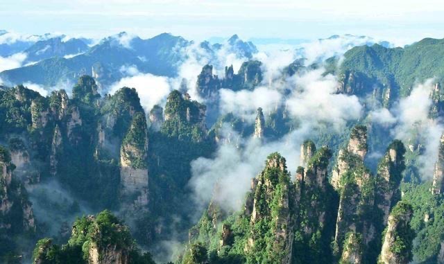 网络图片(侵删) 网络图片(侵删)