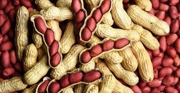 网络图片(侵删) 网络图片(侵删)