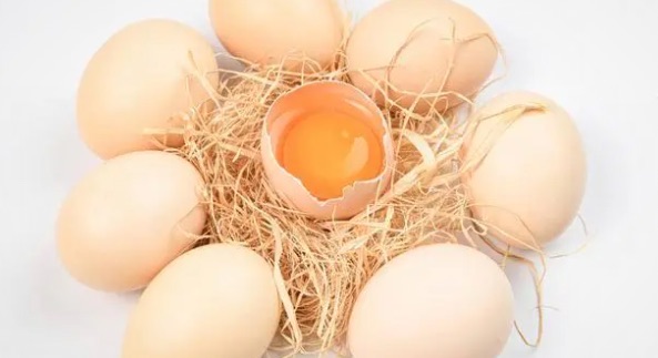 网络图片(侵删) 网络图片(侵删)