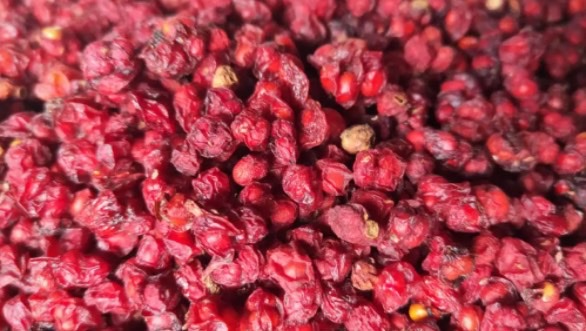 网络图片(侵删) 网络图片(侵删)