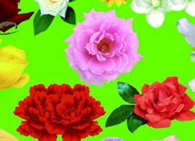 网络图片(侵删) 网络图片(侵删)