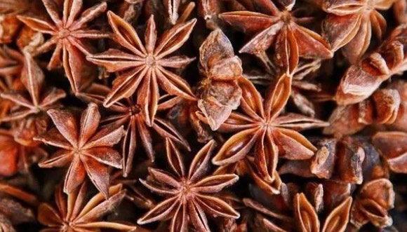 网络图片(侵删) 网络图片(侵删)