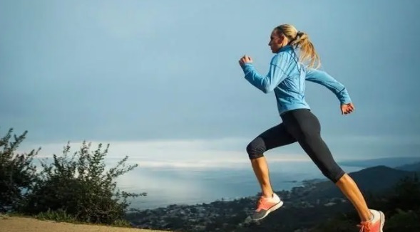 网络图片(侵删) 网络图片(侵删)