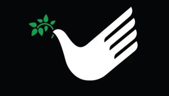 网络配图 网络配图