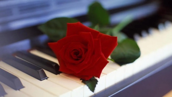 网络图片(侵删) 网络图片(侵删)