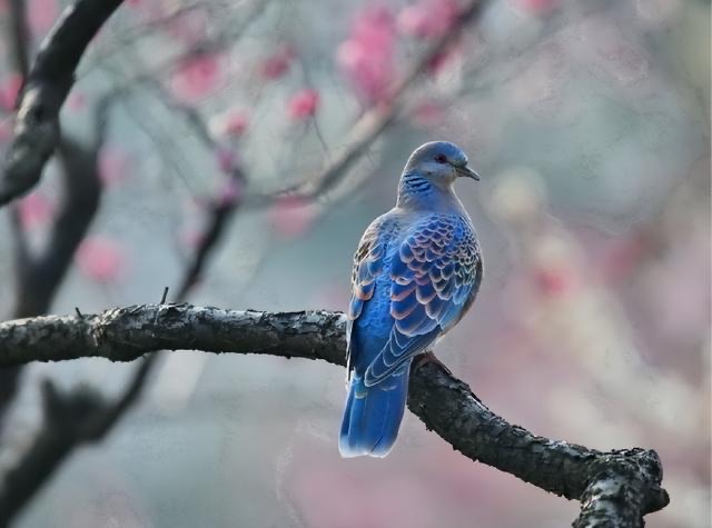 网络图片(侵删) 网络图片(侵删)