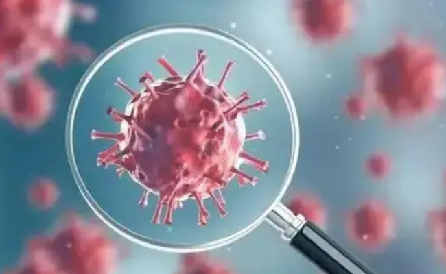 网络图片(侵删) 网络图片(侵删)