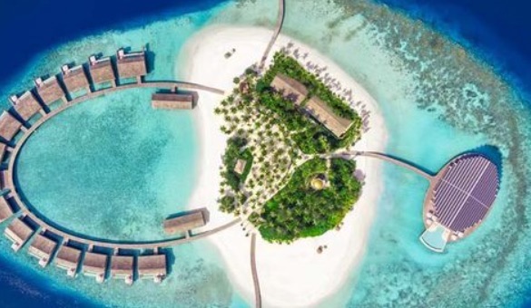 网络图片(侵删) 网络图片(侵删)