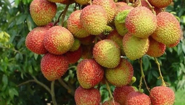 网络配图 网络配图