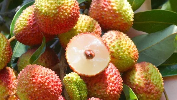 网络配图 网络配图