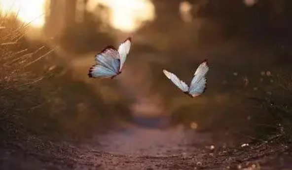 网络配图 网络配图