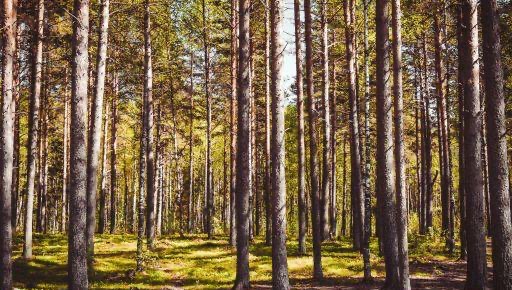 网络配图 网络配图