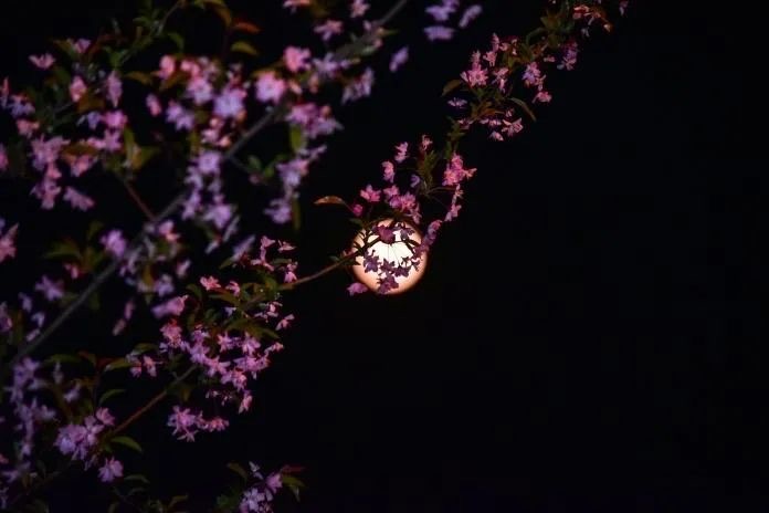 网络配图 网络配图