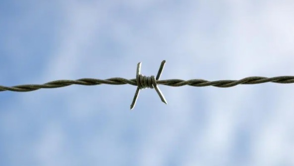 网络配图 网络配图