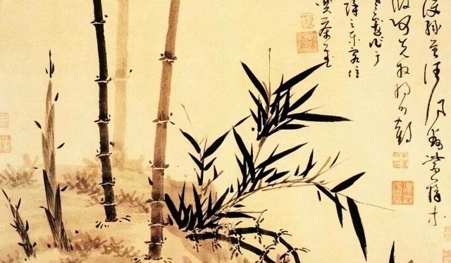 网络图片(侵删) 网络图片(侵删)