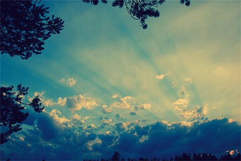 网络图片(侵删) 网络图片(侵删)