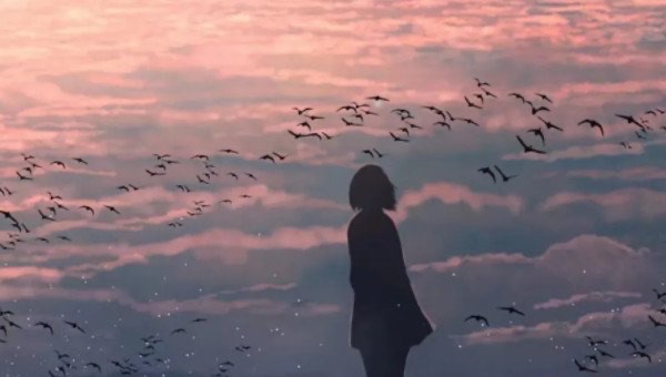 网络配图 网络配图