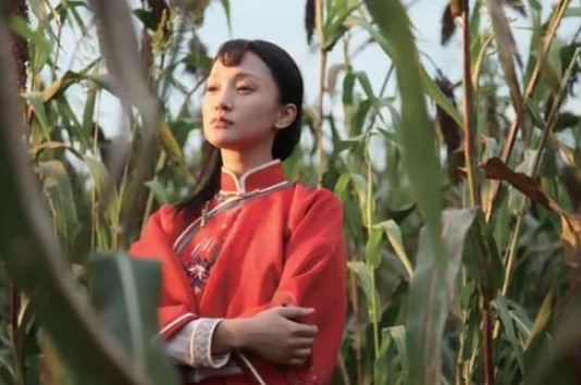 网络图片(侵删) 网络图片(侵删)