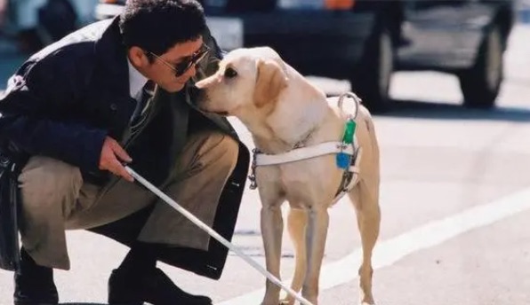 网络配图 网络配图