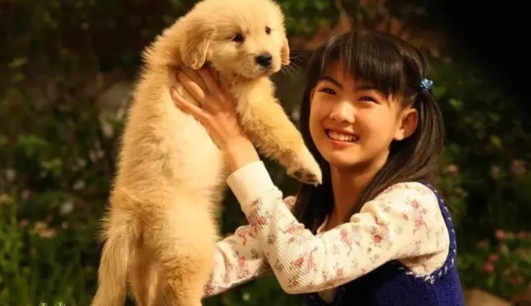 网络配图 网络配图