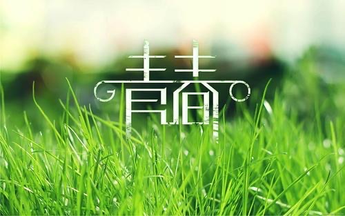 网络配图 网络配图