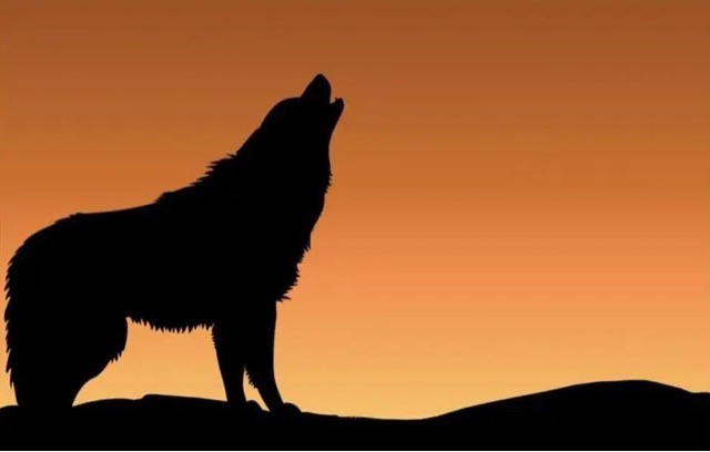 网络图片(侵删) 网络图片(侵删)