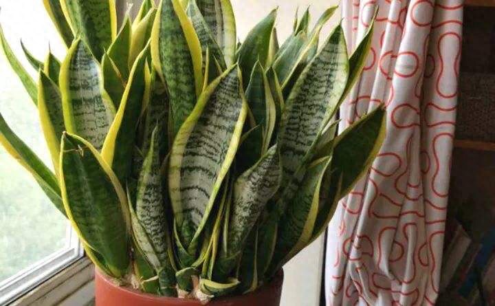 网络配图 网络配图