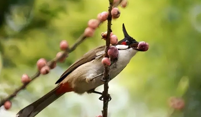 网络配图 网络配图