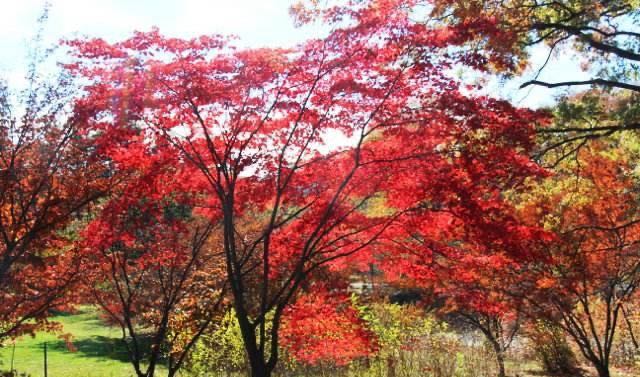 网络配图 网络配图