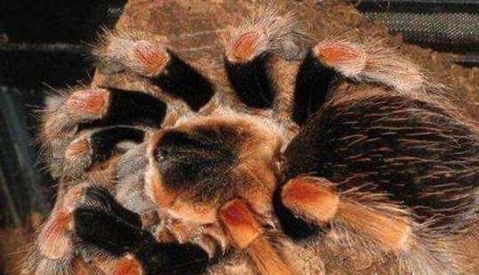 网络配图 网络配图