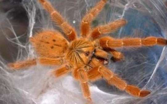 网络配图 网络配图