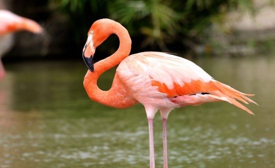 网络配图 网络配图