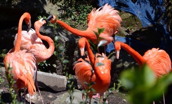 网络配图 网络配图