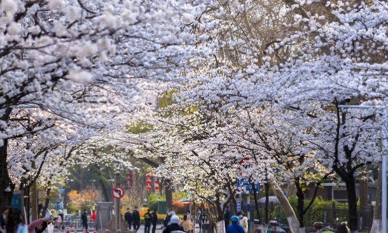 网络配图 网络配图