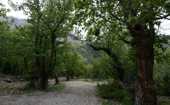 网络配图 网络配图