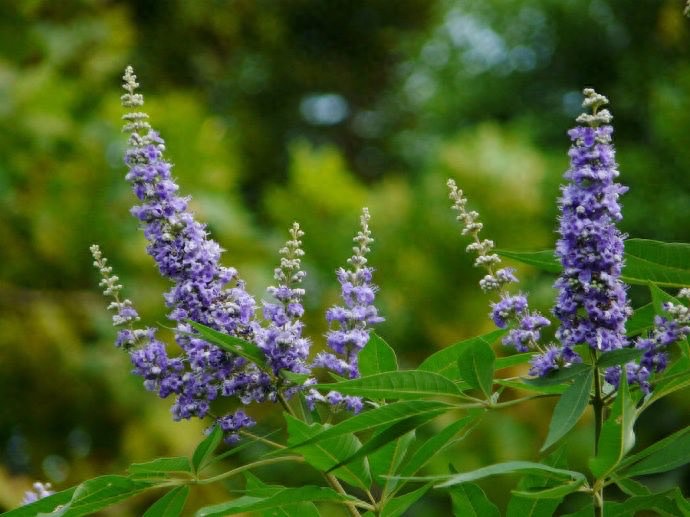 网络配图 网络配图