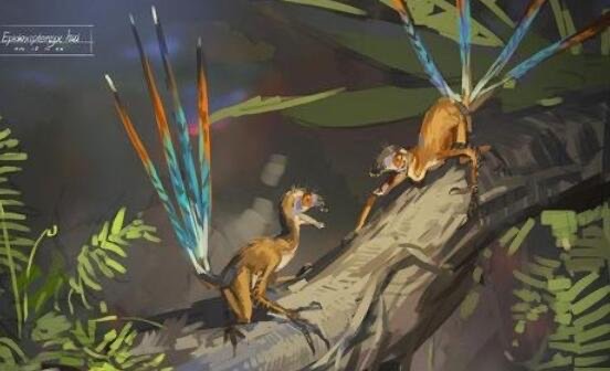 网络配图 网络配图